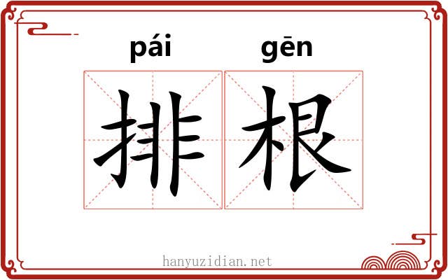 排根 排根