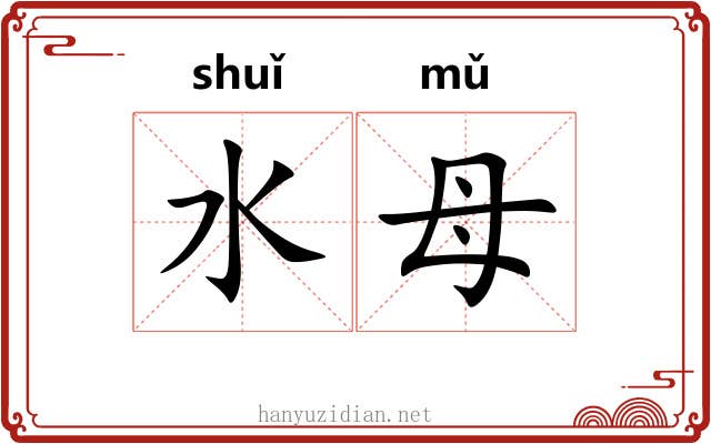 水母 水母