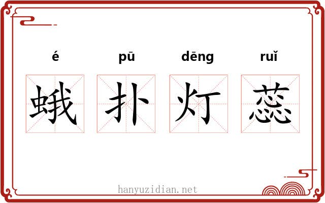 蛾扑灯蕊 蛾扑灯蕊