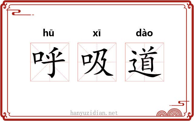 呼吸道 呼吸道