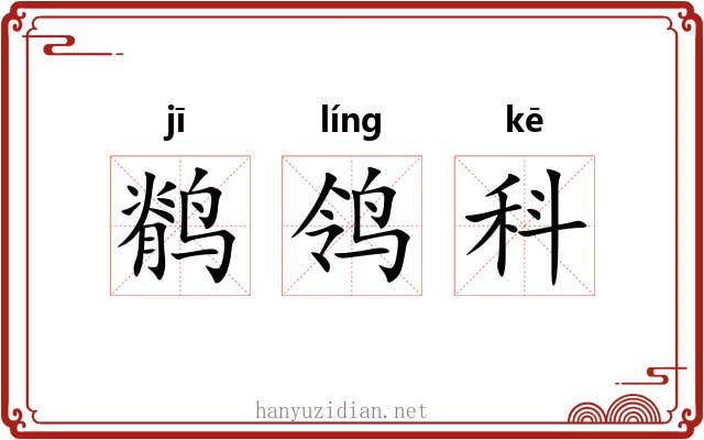 鹡鸰科