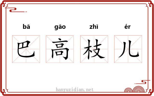 巴高枝儿 巴高枝儿