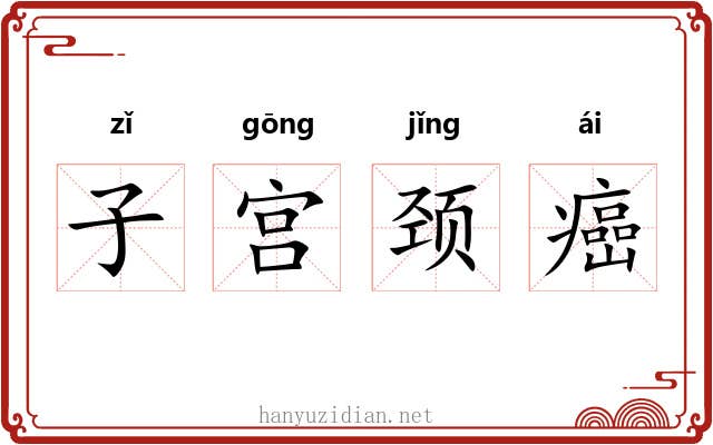 子宫颈癌 子宫颈癌