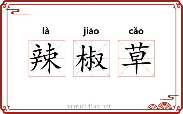 辣椒草 辣椒草