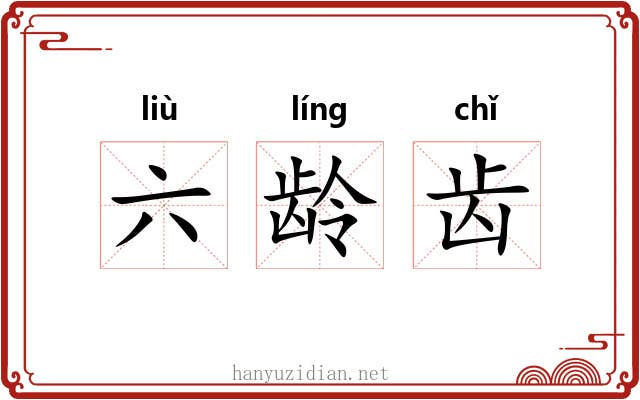 六龄齿 六龄齿