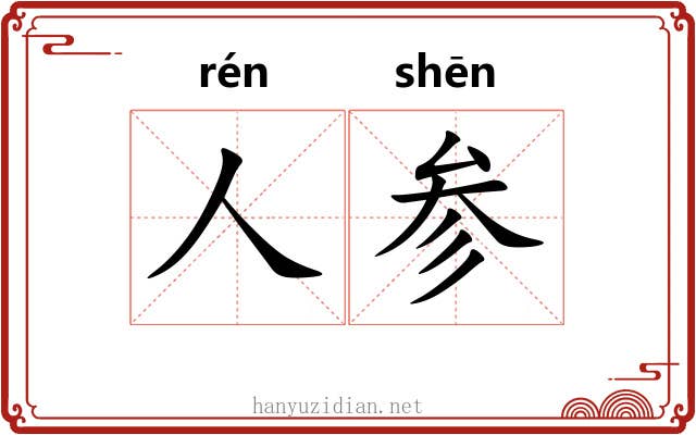 人参 人参