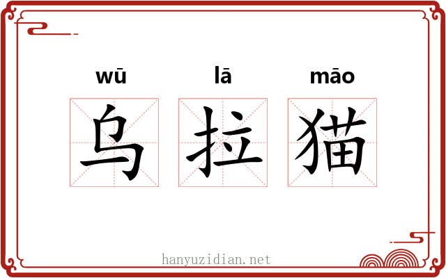 乌拉猫