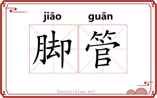 脚管 脚管
