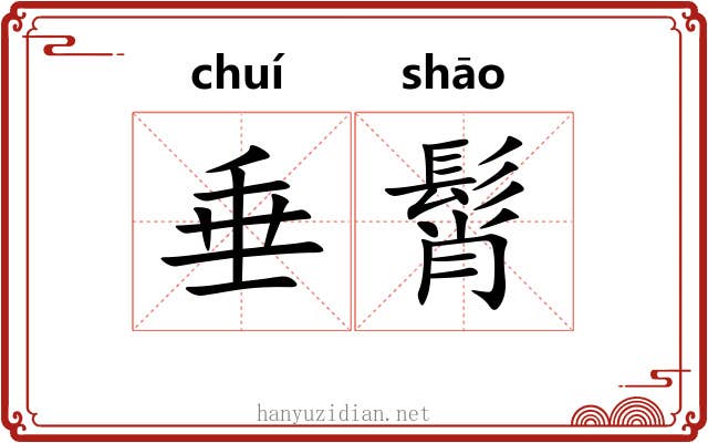 垂髾