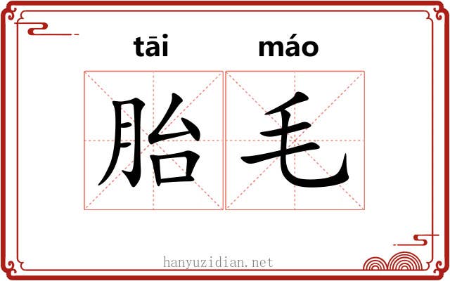 胎毛