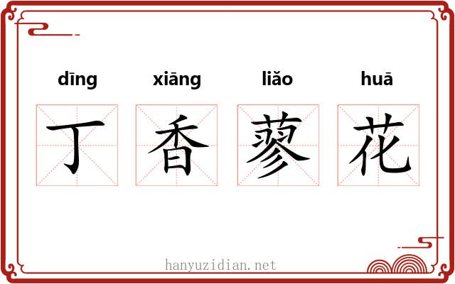 丁香蓼花 丁香蓼花