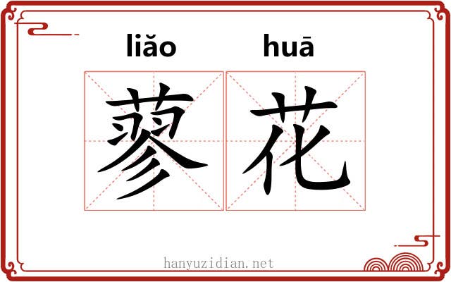 蓼花