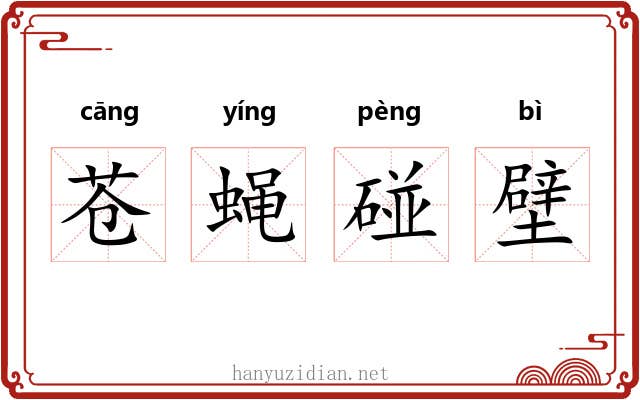 苍蝇碰壁 苍蝇碰壁