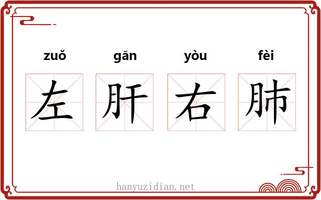 左肝右肺