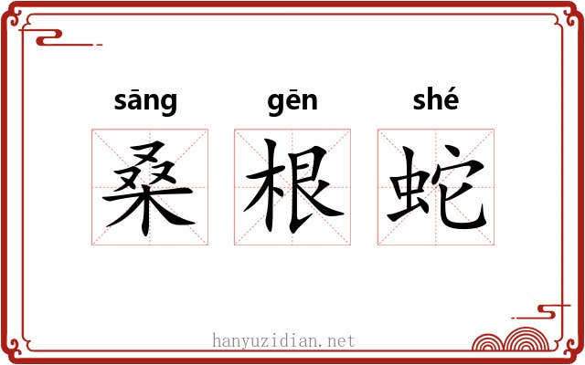 桑根蛇