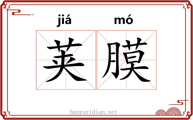 荚膜