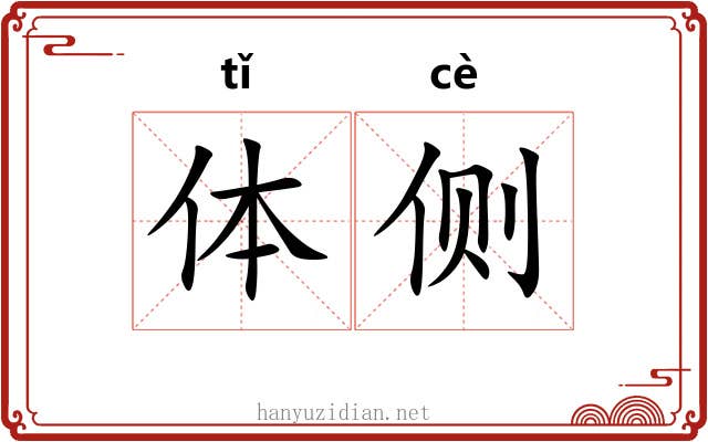 体侧
