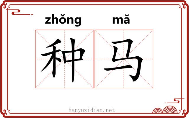 种马 种马