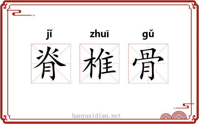 脊椎骨 脊椎骨