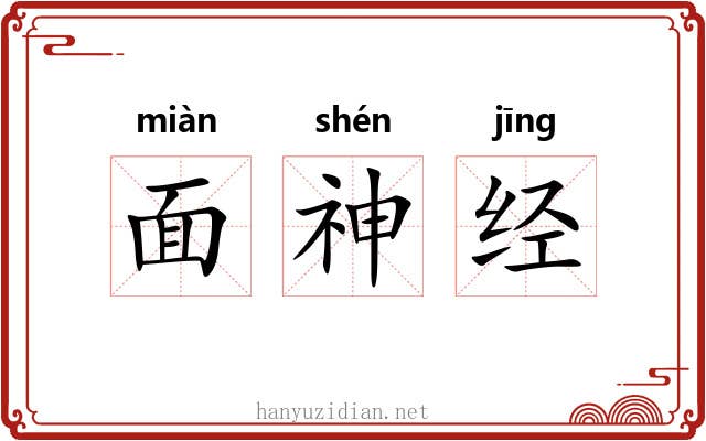 面神经 面神经