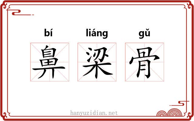 鼻梁骨 鼻梁骨