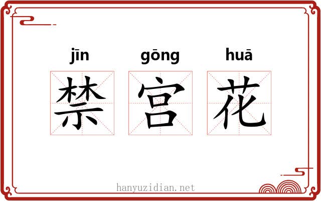 禁宫花