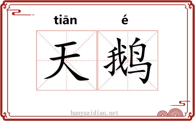 天鹅 天鹅
