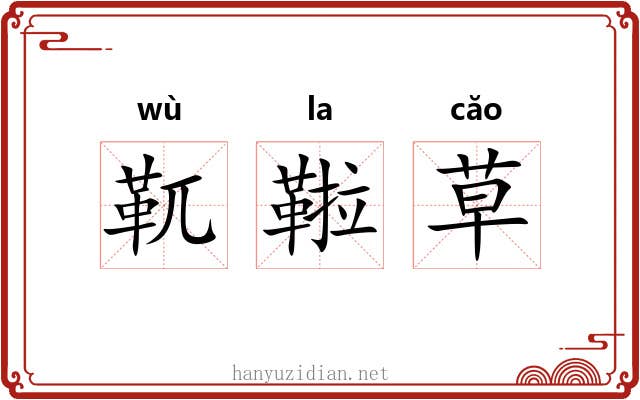 靰鞡草