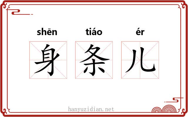 身条儿 身条儿