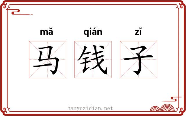 马钱子 马钱子
