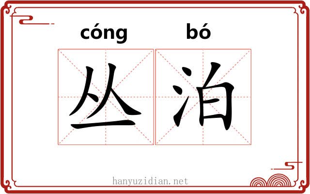丛泊