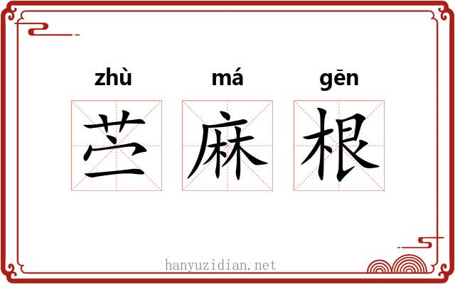 苎麻根