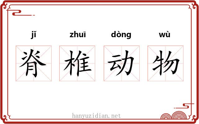 脊椎动物