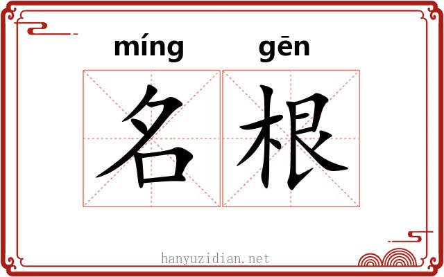 名根 名根