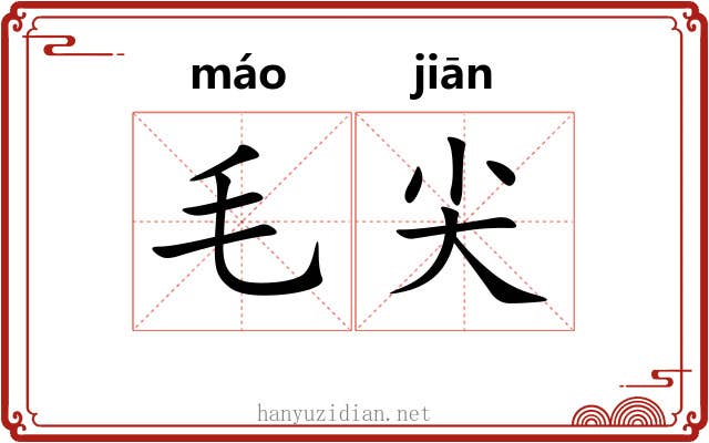 毛尖 毛尖