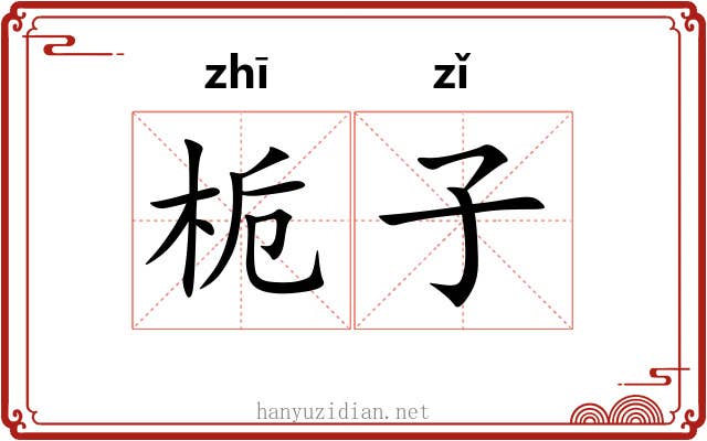 栀子 栀子
