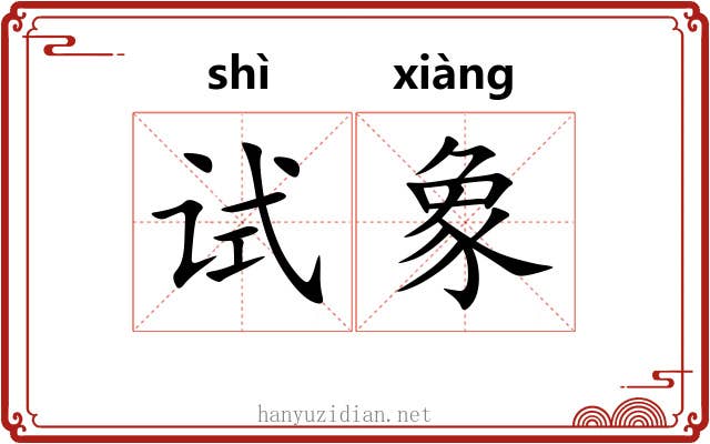 试象