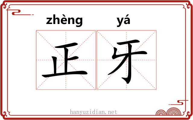 正牙 正牙