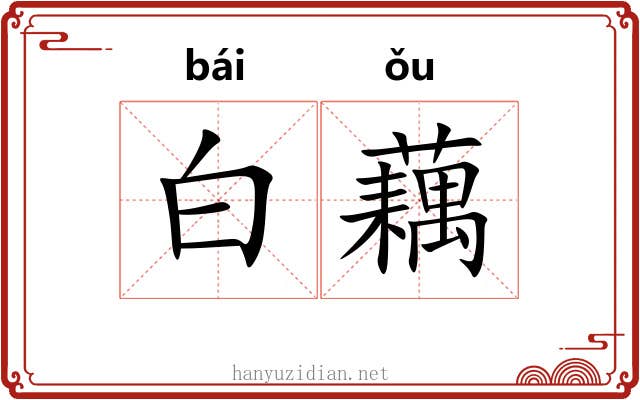 白藕 白藕
