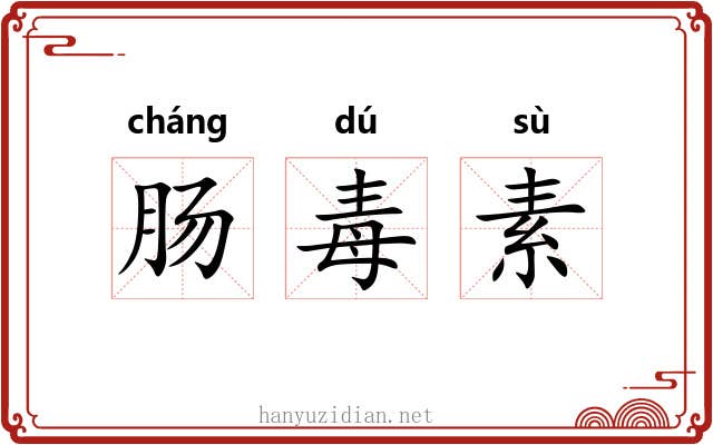 肠毒素