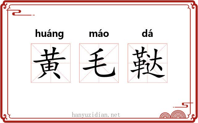 黄毛鞑