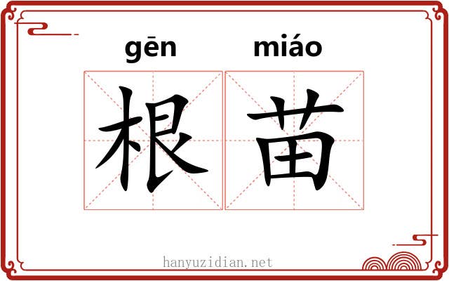 根苗 根苗