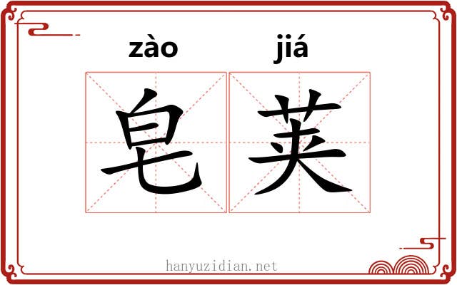 皂荚