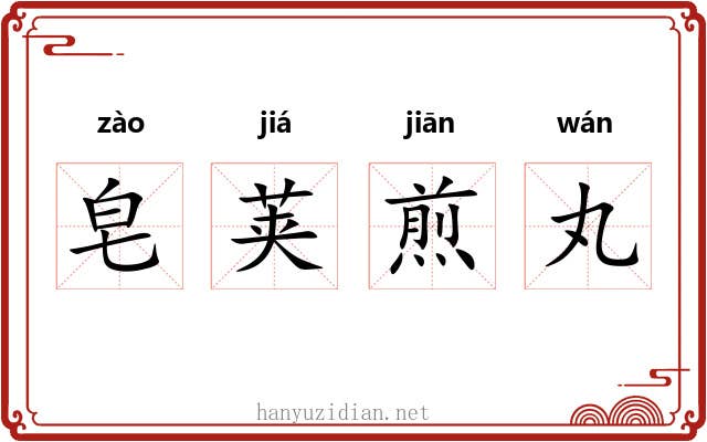 皂荚煎丸 皂荚煎丸
