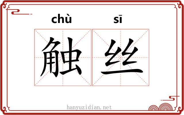 触丝 触丝