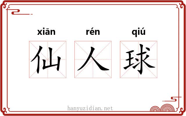 仙人球 仙人球