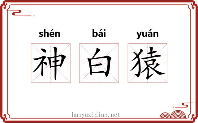 神白猿