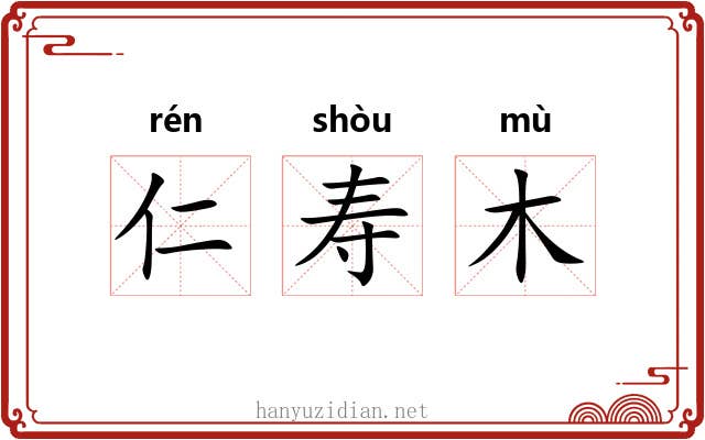 仁寿木