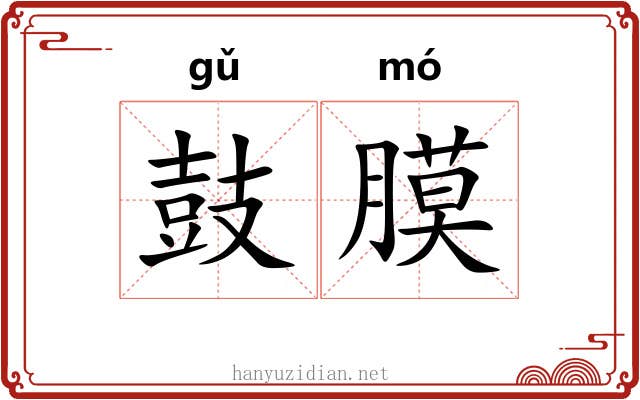 鼓膜