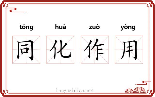 同化作用